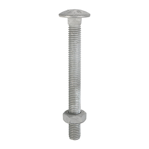 Timco carriage bolts - timco,